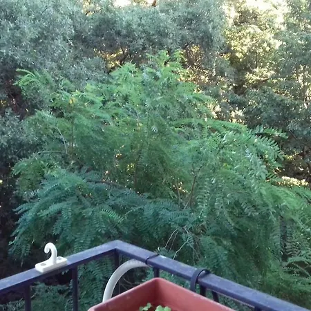La Finestra Sul Bosco شقة